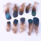thumbnail image 4 of Plumas artesanales naturales, 50 piezas Mini tabletas azules Plumas de pollo (2-4 pulgadas) para pendientes de bricolaje Accesorios Alas Atrapasueños Artesanía, 4 of 5