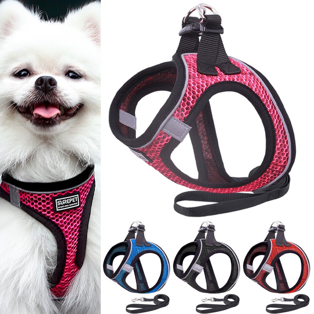Goory Pet Cat Dog Harness Small Medium Dog Collar Walking Lead Leash