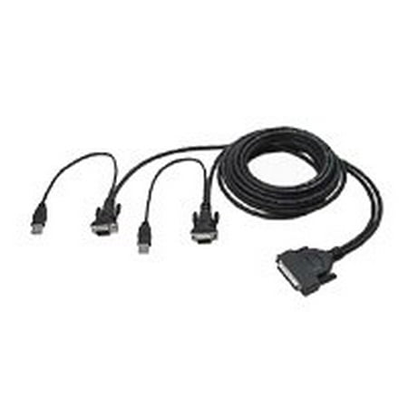 Belkin Dual Port - Belkin F1D9401-12 Enterprise 12' Dual Port USB KVM Cable