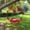 ZZ Red, variant on Zhi Hanging Hummingbird Feeder Special for Garden Decoration
