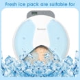 thumbnail image 2 of Bsemax 2 Unidades de Paquetes de Hielo para Alimentador Automático de Gatos 21x12x2 cm, 2 of 6