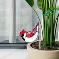 thumbnail image 4 of Fnochy Acrylic Planter Bird Decoration, Durable Acrylic Potted Plant Holder, Multifunctional Desk Organizer, Unique Home Office Decor, Perfect Gift for Nature Lovers, 4 of 5