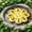 Yellow407, variant on Floating Flower Pollinator Water Station, Foam Honeybee Drinking Pad With Water Reservoir Holes For Bees Butterflies Garden Wildlife Habitat Support