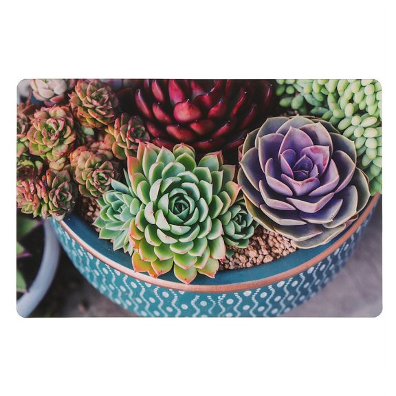 Maison Concepts Plastic Placemat (Potted Succulents) - Set of 12 (10.75L X 16.75W X 1H)