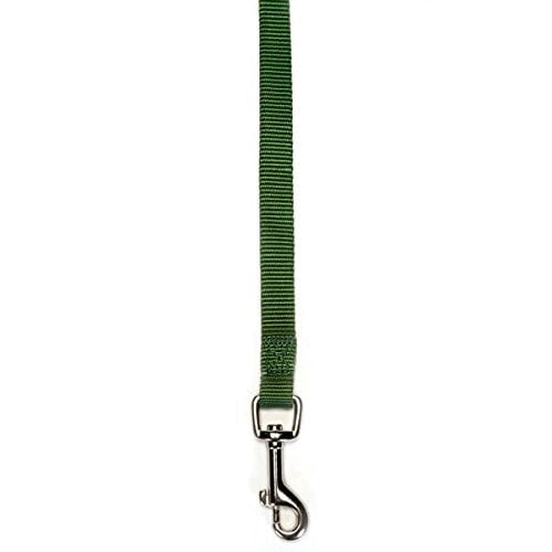 Zack & Zoey Brite Color Nylon Leads for Dogs Choose from 11 Colors 3 Sizes Dog Leash Lead (Large - Green)