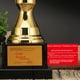 thumbnail image 4 of Trofeo de metal chapado creativo, artesanía de metal, regalo, medalla de trofeo deportivo, 4 of 5