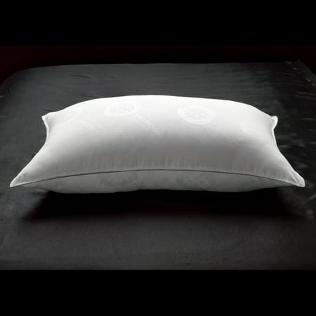 Allergy Free Extra Filled White Goose Down Side/Back Sleeper Pillow with MicronOne