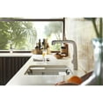 thumbnail image 3 of KOHLER K-6194-ST Riverby Utility Rack with Soaking Cup, 3 of 7