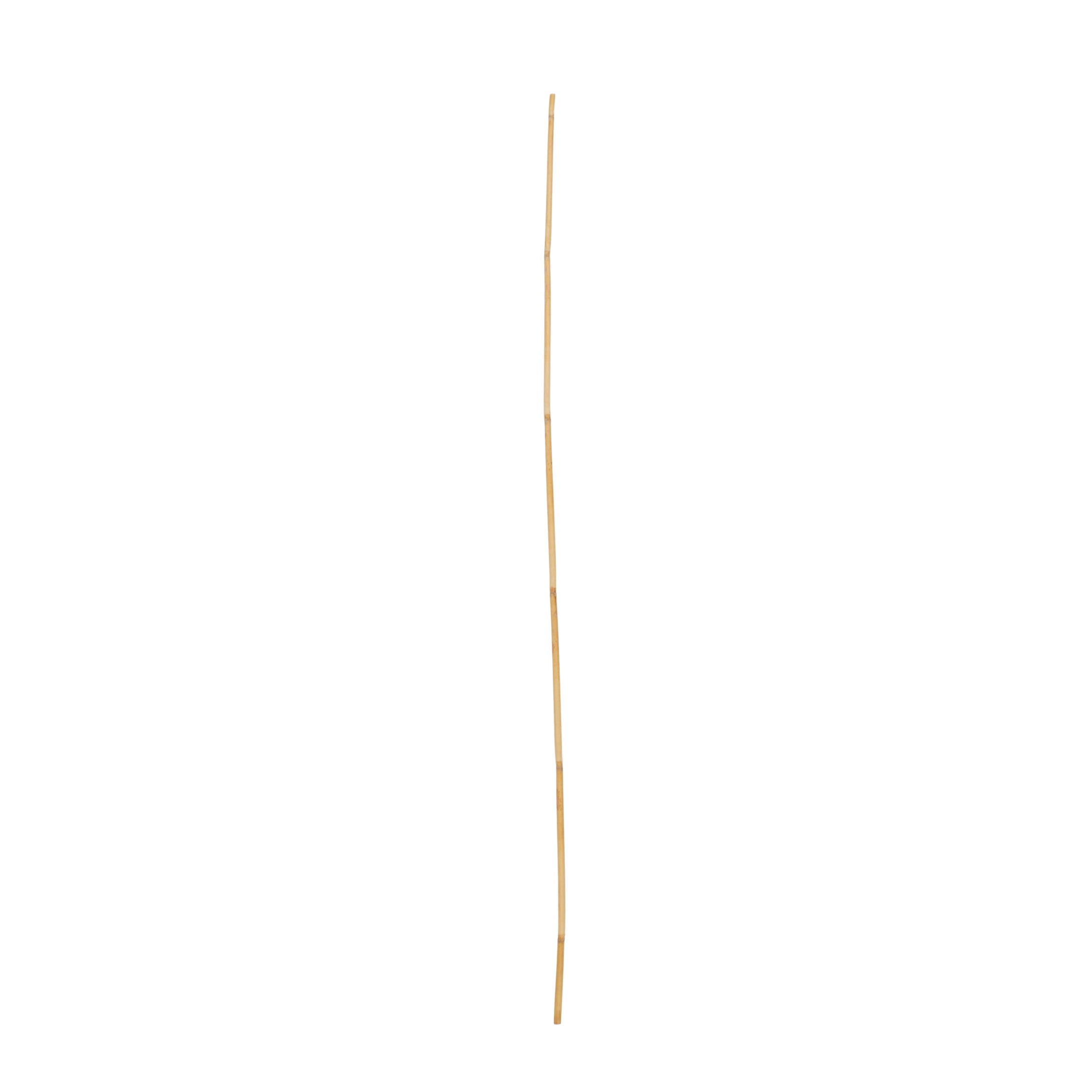 58" Tall Sticks Bamboo Wood Natural Foliage Bouquet, by DecMode