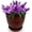 Crimson Red, variant on Headwind Glazed Ironstone Edison Collection – 5" Capri Blue Flower Pots for Indoor Plants – Modern Plant Pot Indoor with Drainage –Perfect for Snake Plant, Aloe Vera & Garden Décor by Robert Allen