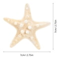 thumbnail image 4 of 5 adornos naturales de estrellas de mar, decoración con temática oceánica, accesorios para fotos, decoración para fiestas y hogar., 4 of 7