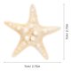 thumbnail image 4 of 5 adornos naturales de estrellas de mar, decoración con temática oceánica, accesorios para fotos, decoración para fiestas y hogar., 4 of 7
