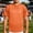 Orange, variant on FRSASU Men's Short Sleeve Shirts V-Neck Mesh Fabric Pullovers Breathable Quick Dry Gym Workout Tops White