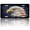 Bald Eagle American, variant on USA 250th Anniversary License Plate, Personalized Red Winged Cross Car Front License Plate Cover, Car Decor Accessory Stainless Aluminum Metal Rust-Proof Car Plate Novelty Vanity Tag 6 X 12 Inch
