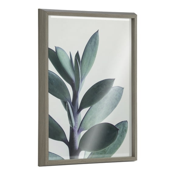 Kate and Laurel Blake Senecio 1 Framed Printed Glass Wall Art by Emiko and Mark Franzen of F2Images, 18x24 Gray, Decorative Botanical Art for Wall