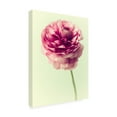 thumbnail image 2 of Judy Stalus 'Lush Botanical II' Canvas Art, 2 of 3
