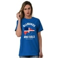 thumbnail image 4 of Dominican DR Shaped Pride Heritage Plus Size Crewneck Graphic Tee Shirt Brisco Brands 3X, 4 of 5