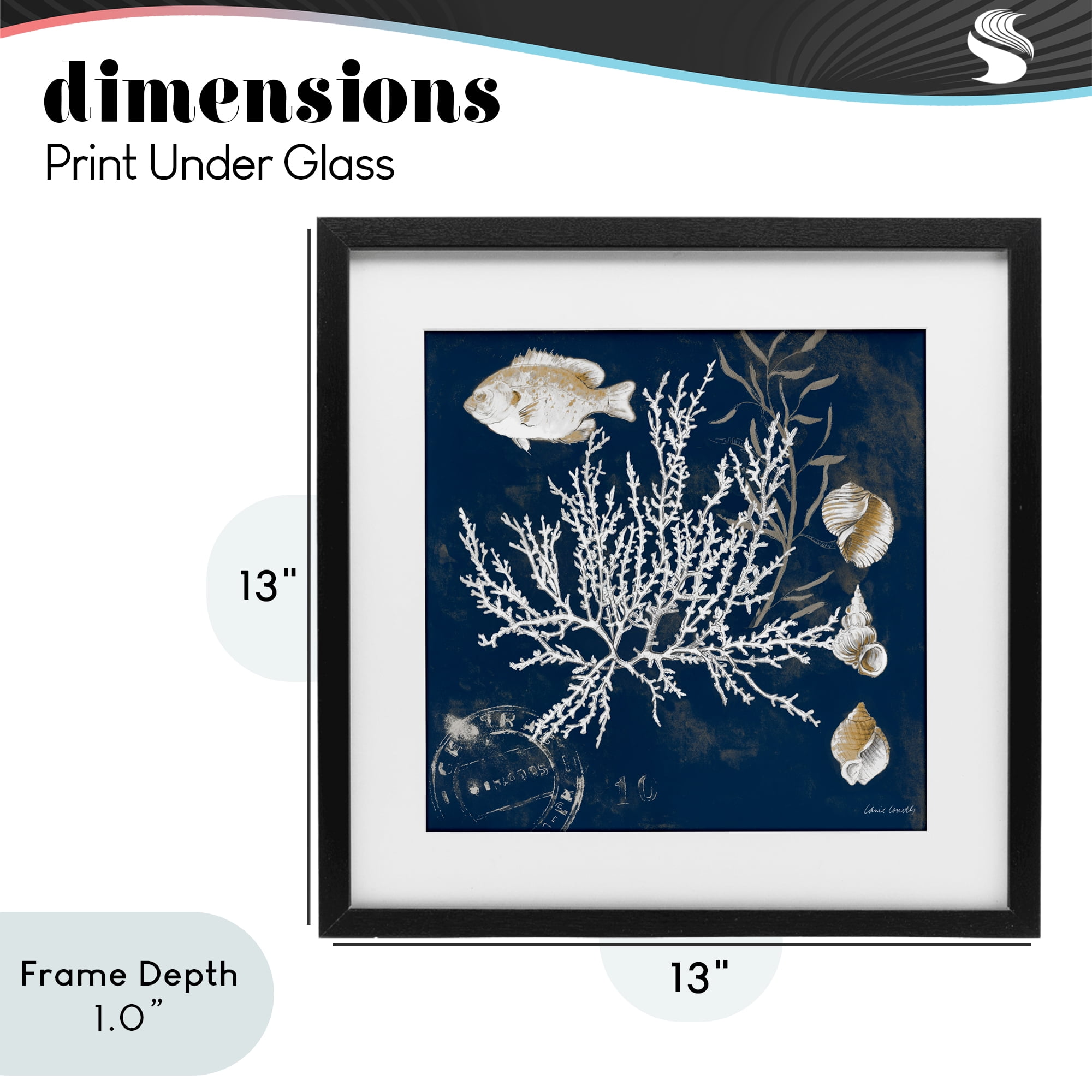 Stupell Industries Coral Medley on Blue Black Framed Print Under Glass, design by Lanie Loreth