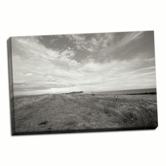 Gango Home Decor Bluff Path BW by Dana Styber (Ready to Hang); One 36x24in Hand-Stretched Canvas