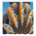 thumbnail image 3 of Ambesonne Nautical Shower Curtain, Shells in Sea Ocean, 69"Wx84"L, Blue and Apricot, 3 of 5