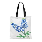 LADDKE Canvas Tote Bag Blue Texas Watercolor Bluebonnets Flower Living Room Reusable Handbag Shoulder Grocery Shopping Bags