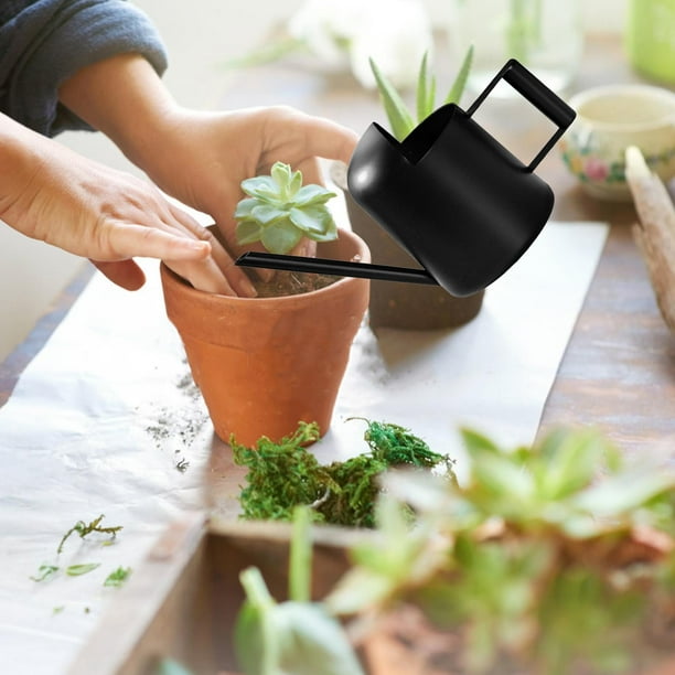 Regadera de 300 ml Regadera para plantas de interior Regadera de cuello largo Herramientas de jardín para plantas colgantes Plantas de interior en general Regalos de jardinería negro shamjiam Regadera