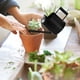thumbnail image 1 of Regadera de 300 ml Regadera para plantas de interior Regadera de cuello largo Herramientas de jardín para plantas colgantes Plantas de interior en general Regalos de jardinería negro shamjiam Regadera, 1 of 8