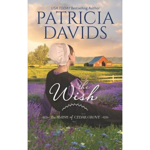 Pre-Owned The Wish: A Clean & Wholesome Romance (Mass Market Paperback) 1335006761 9781335006769