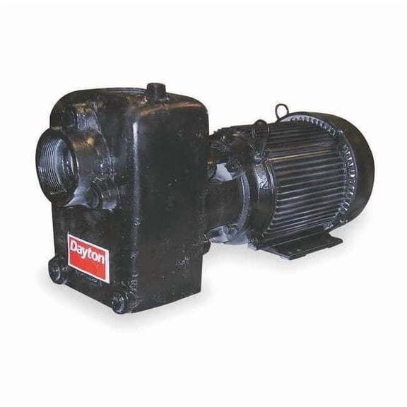 Dayton Self Priming Pump,5 HP,Cast Iron 12N812