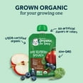 thumbnail image 3 of Gerber 2nd Foods Organic for Baby, Fruit & Veggie Variety Pack, 3.5 oz Pouch (9 Pack), 3 of 7