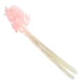 thumbnail image 3 of 120pcs Natural Dried Rabbit Tail Grass Dried Grass Stems Bunny Tails Grass for Home Decoration, 3 of 6