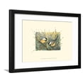 thumbnail image 1 of Chickadees and Pussy Willow Framed Print Wall Art by Janet Mandel Sold by Art.Com, 1 of 5