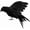 Black Flying Crow, variant on 5.9" Black Feathered Crows Halloween Decoration Realistic Raven Handmade Artificial Birds Halloween Prop Decor Spooky Party Home Garden Decoration (Black Flying Crow)