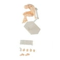 thumbnail image 1 of Manikin Action Figure Model, Scale Muscle Action Flexible Figure with Head Sculpt Miniature Body Doll for Sketching, Painting, Drawing, 1 of 8