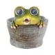 thumbnail image 2 of Maceta de Resina para Suculentas, Maceta de Escritorio, Bonsái con Animales Simulados y Luz Solar, Ideal para Decoración Del Hogar, Jardín, Oficina o Mesa., 2 of 7