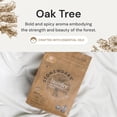 thumbnail image 3 of Detergente en cápsulas Grab Green Stoneworks Oak Tree, 50 unidades, 3 of 6