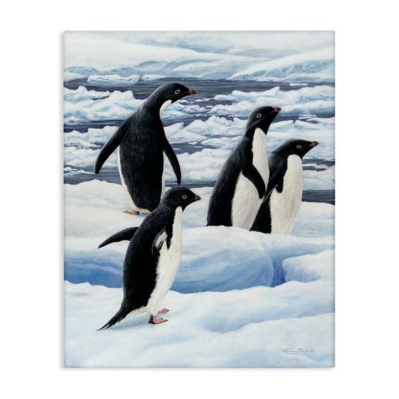 Stupell Industries Adelie Penguins on Ice Canvas Wall Art design by Jeremy Paul, 20 x 16