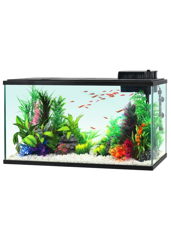 Aqua Culture 55G Glass Aquarium Starter Kit