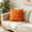 Orange, variant on Bisitoy Pillow Covers 1Pc Throw Pillow Covers 18x18 Plush Pumpkin Halloween Fall Decor for Couch Sofa Living Room (Orange)