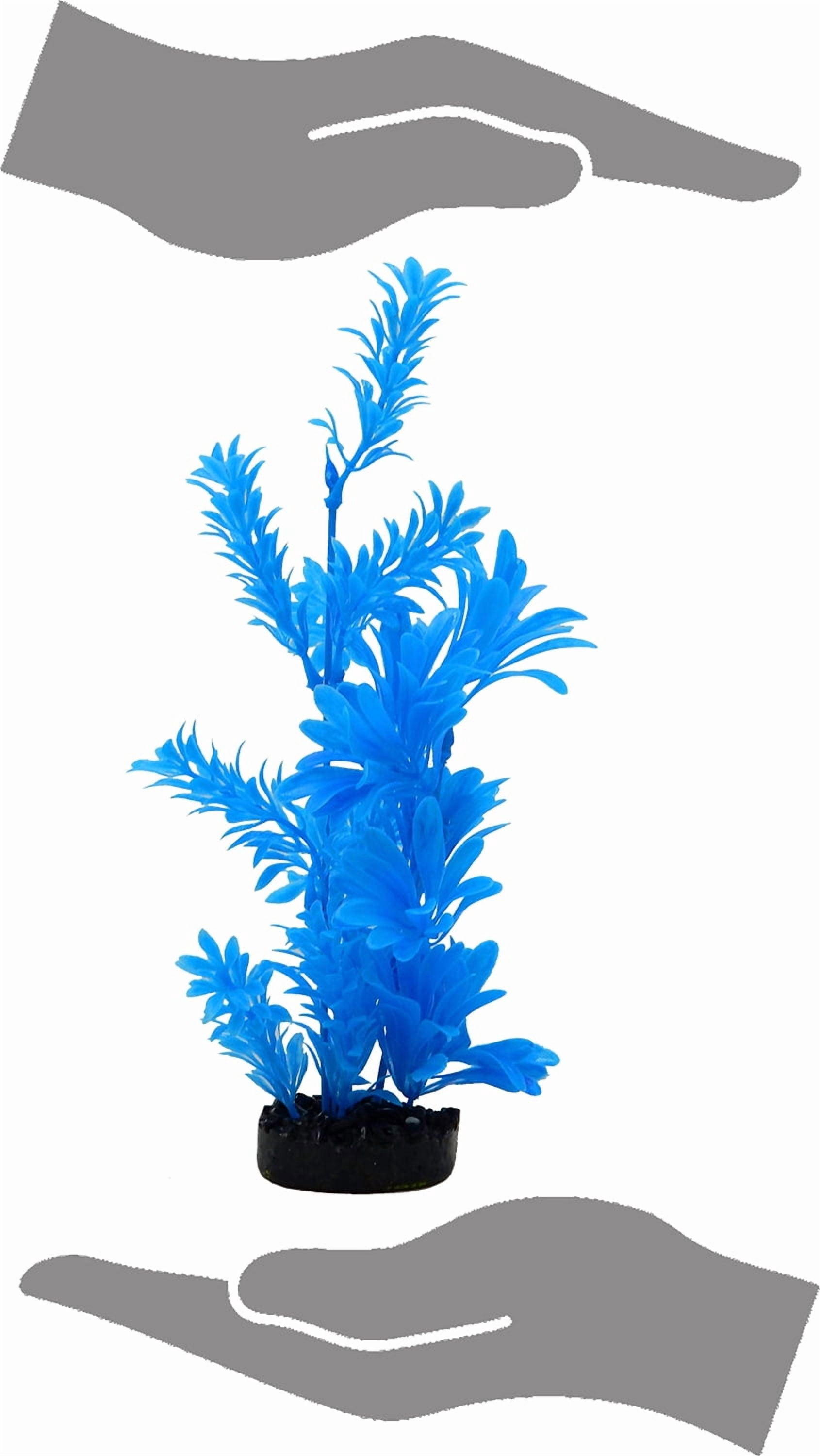 Aqua Culture Water Bouquet Aquarium Plant - Bright Color