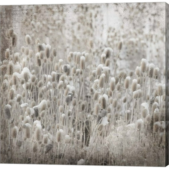 My Farm My Way Photos 3 by LightBoxJournal, Canvas Wall Art