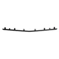 thumbnail image 1 of OE Compatible/Replacement Front Bumper Cover Center Molding, 1 of 1