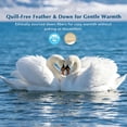 thumbnail image 3 of Dafinner 100% Organic Cotton Goose Feather Down Fibers Comforter Oversized King Size, Hypoallergenic & Breathable Medium Warmth for All Season Duvet Insert (120x98, White), 3 of 9