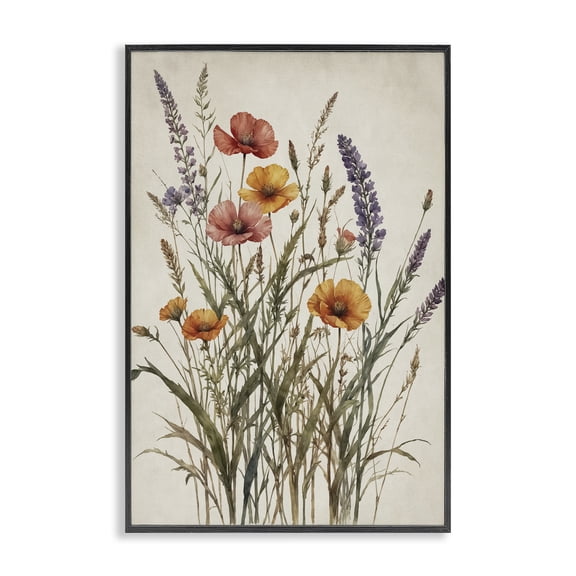 Stupell Industries Vintage Collection of Meadow Botanicals Black Framed Giclee Art, design by Nataly White