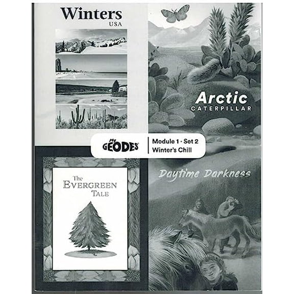 Pre-Owned GEODES LEVEL 2 My Geodes , Module 1 Set 2 Winter's Chill