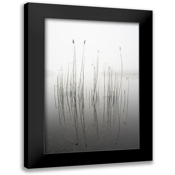 Ahern, David 13x18 Black Modern Framed Museum Art Print Titled - silence