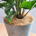 thumbnail image 5 of 100g Coir, Nesting Material for Birds, Coconut Fiber, Comfortable Bedding, 5 of 5