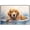 Golden Retriever, variant on Golden Retriever Dog Canvas Bathroom Décor - Unique Bath Wall Decor - Modern Canvas Bathroom Wall Art - Room Decor - Bathroom Decorations - Restroom Sign - Wall decor living room