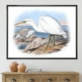 thumbnail image 2 of Designart 'Ancient Australian Birds XIII' Traditional Framed Canvas Wall Art Print, 2 of 5