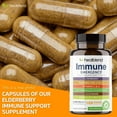thumbnail image 6 of Healblend 10 in 1 Immune Support Supplement Booster with Elderberry, Zinc, Echinacea, Turmeric, Lactobacillus Acidophilus, for Adults - 3-Pack, 6 of 10